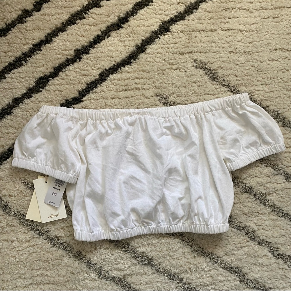 Aritzia Top